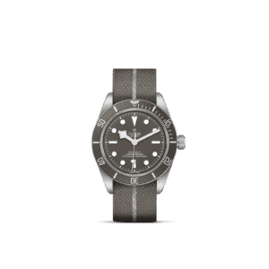 TUDOR Black Bay 58 925 M79010SG-0002